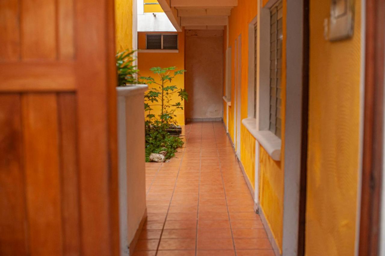 Natz Hotel Flores Kültér fotó